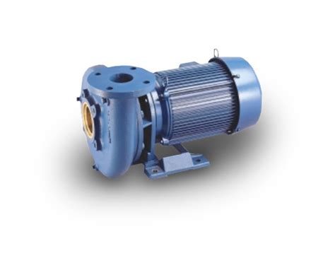 ap aurora centrifugal pump 061417894|Pentair Aurora 341A, 342A & 344A Single Stage End .